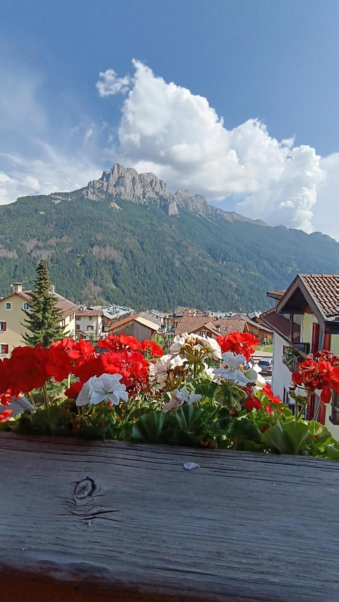 Hotel Vigo Vigo di Fassa Bagian luar foto